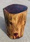 Cedar Tree Urn