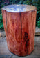 Cedar Tree Urn