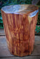 Cedar Tree Urn