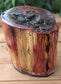 Cedar Tree Urn